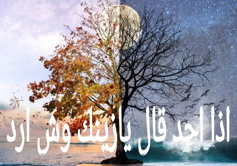 اذا احد قال يازينك وش ارد